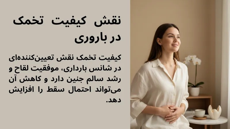 نقش کیفیت تخمک در باروری