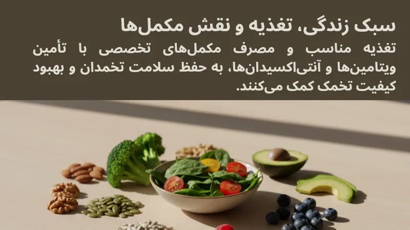 چگونه سبک زندگی و تغذیه بر کیفیت تخمک تأثیر می‌ گذارند؟