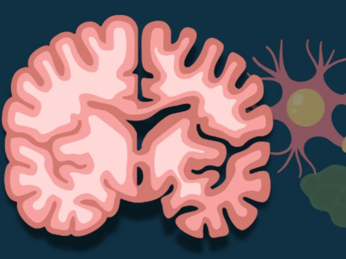 بیماری آلزایمر؛ شناخت عوامل ریشهای و استراتژیهای علمی برای حفاظت از سلامت مغز بیماری آلزایمر؛ شناخت عوامل ریشهای و استراتژیهای علمی برای حفاظت از سلامت مغز
